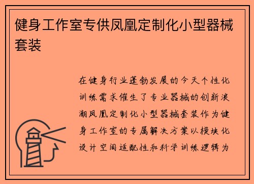 健身工作室专供凤凰定制化小型器械套装